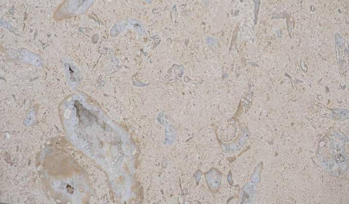 CALCAIRE BEIGE FOSSIL   POLIE